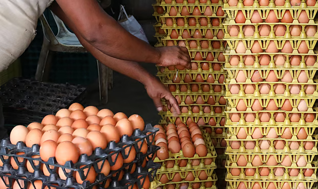 Egg prices rise by Tk 10, reaching Tk 140 per dozen