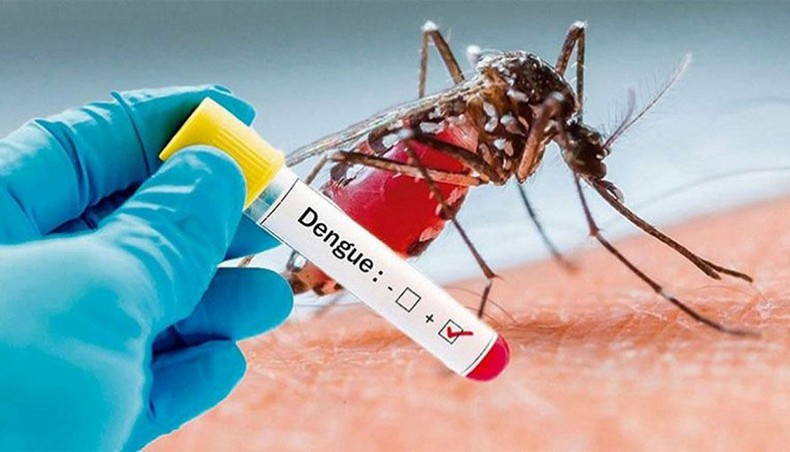 Bangladesh records zero dengue death after months