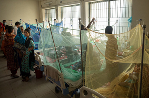 Four more die from dengue, 254 hospitalised in a day